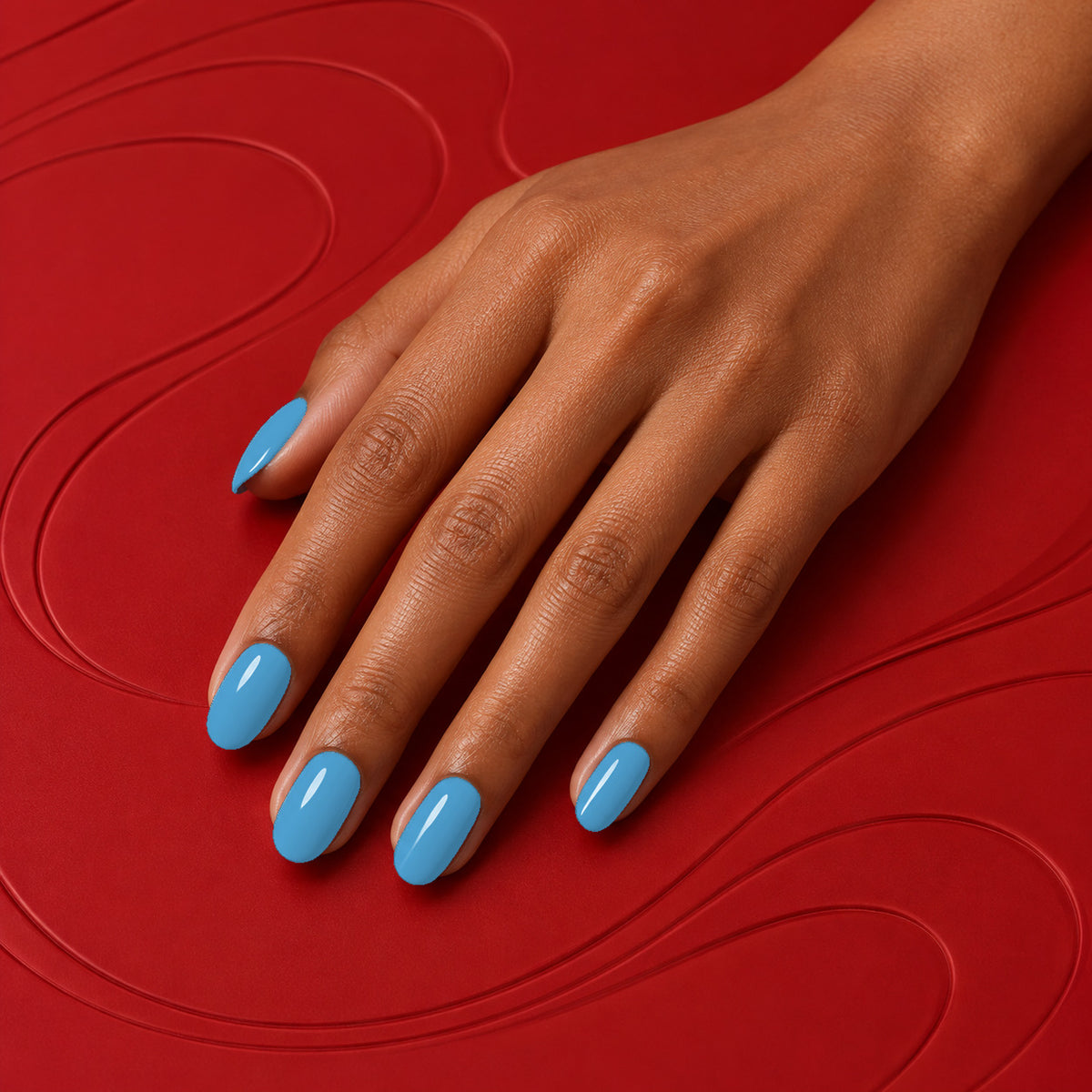 MEROO Spix'S Macaw | S077 | lifestyle 1 manicure detail