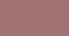 Shade s048