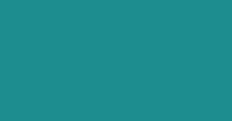 Shade s087